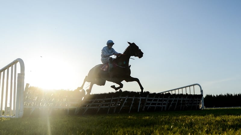 Honeysuckle in December 2019