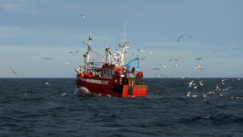 Irish fishermen take at least 40% of their catch in British waters
