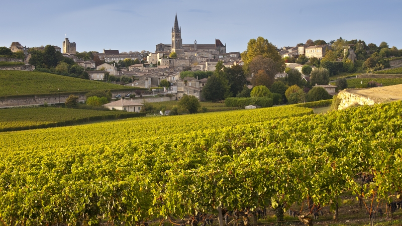 The study found planting different grape varieties or quantities could significantly cut losses