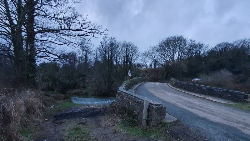 The scene where the BMW was found burnt out, in the townland of Banntown