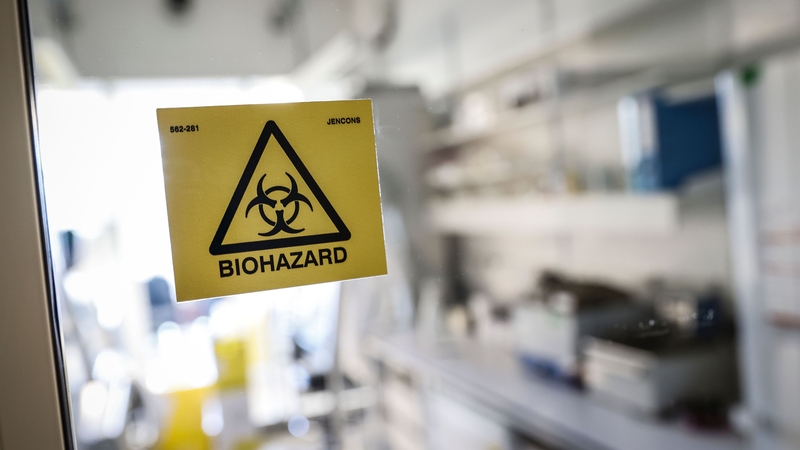 The WHO was whether to declare the outbreak a global emergency