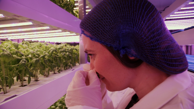 Sarah Mooney, a researcher on season 18 of Eco Eye, discusses her investigation into the future of Irish food.