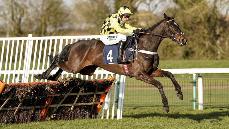 Shishkin skips the Betfair Tingle Creek Chase