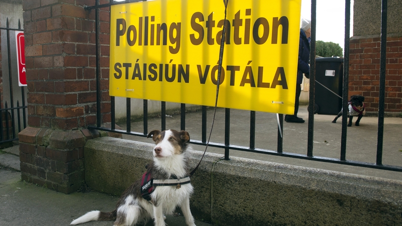 Part one of a regular series: A dog waits for its owner outside a Dublin polling station