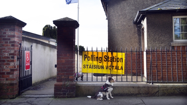 Part two of a regular series: A dog waits for its owner outside a Dublin polling station