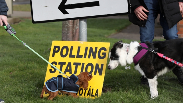 Derek McKay with his dog Tampass(L) and Mark Lenahan with his dog Bella at the polling station at St. Joseph's School for Deaf Boys, Navan Road, Cabra Dublin. Photo: RollingNews.ie
