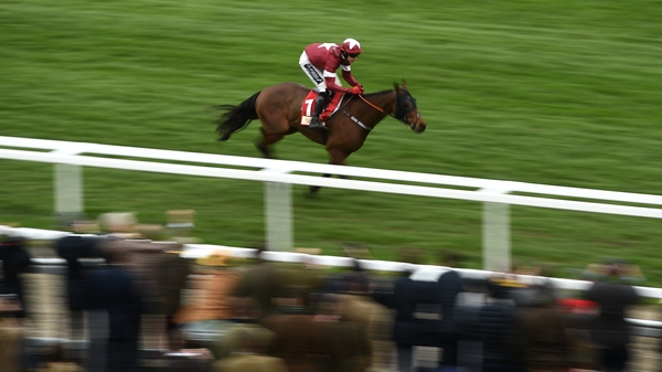 Gigginstown statement: 'We have a duty of care to Tiger, and so we will not ask him to carry an unfair weight burden especially as he gets older and his form declines'