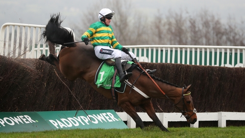 Champ fell two fences from home in the Dipper at Cheltenham on New Year's Day
