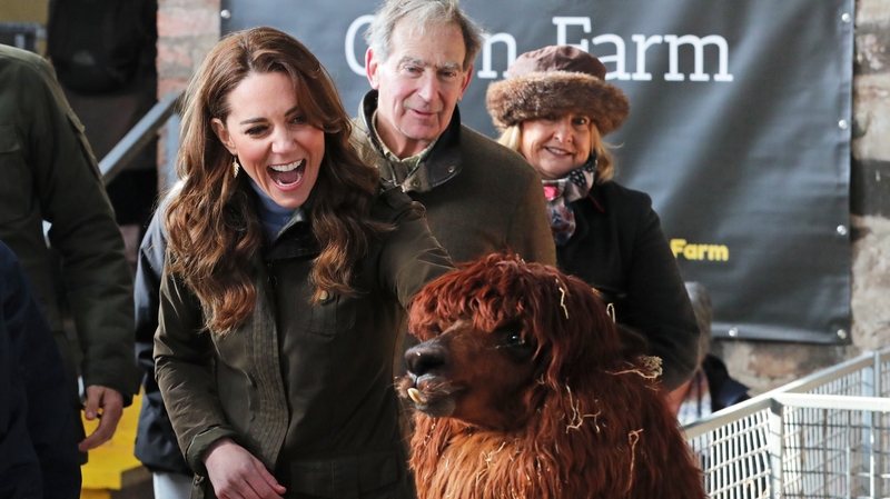 The Duchess of Cambridge befriends an alpaca during her visit to the Ark Open Farm in Newtownards
