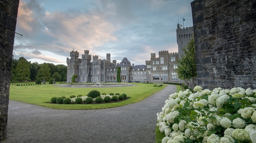 Ashford Castle Hotel saw a return to pre-tax profit last year as revenues increased by 117%
