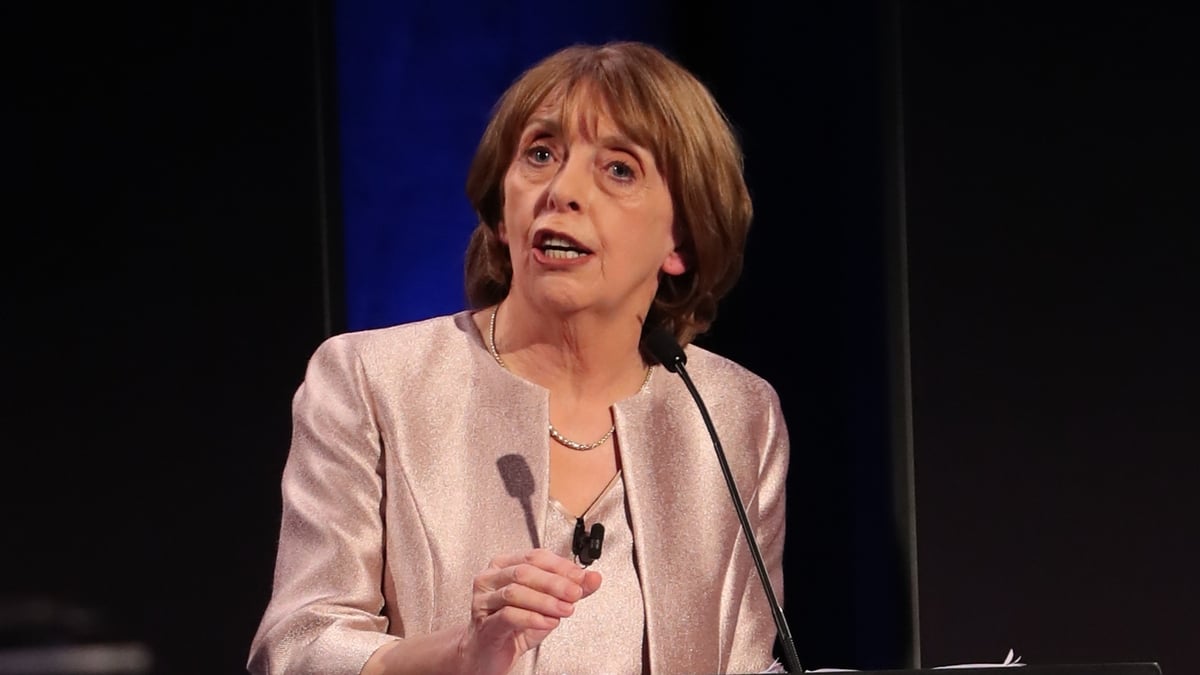 Co-Leader of the Social Democrats, Róisín Shortall