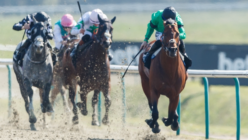 Kachy won five of his seven outings on artificial surfaces