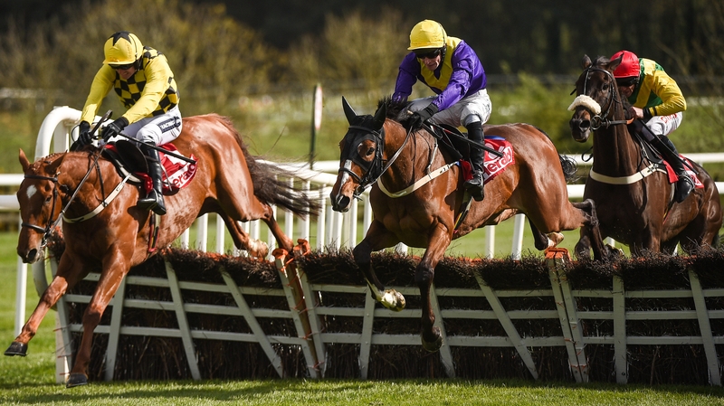 Cilaos Emery (hood) will tackle the smaller obstacles at Cheltenham
