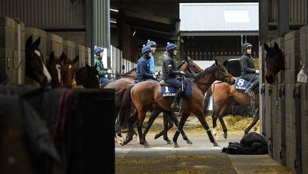 Tiger Roll returns from Gordon Elliott's gallops under Katie Young this morning