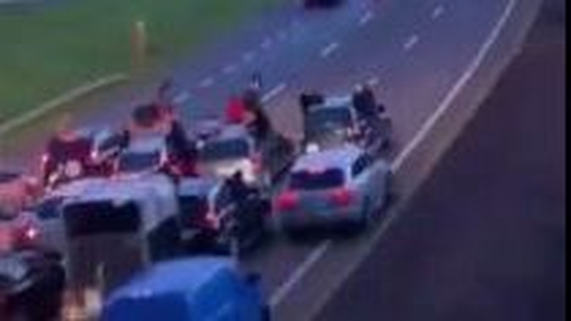 Video footage on social media shows two horses and carts travelling at speed on the N7