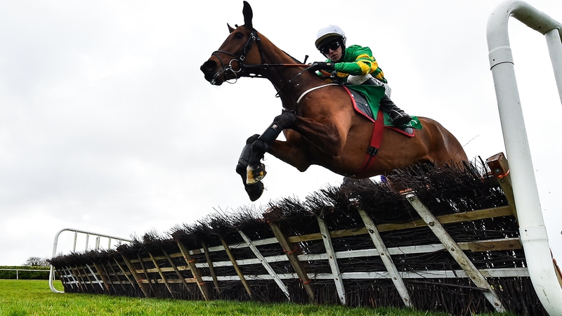 'He'll be a nice horse to go jumping fences. He's only a shell of a horse'