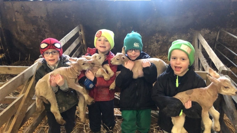 The boys - Charlie, Luke, James and Tom - have named the lambs Bubbles, Chloe, Frosty and Betty