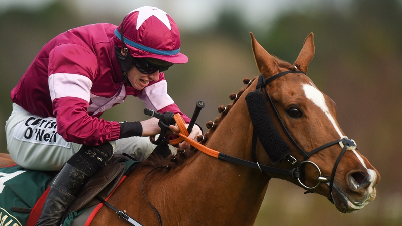 Gun Digger in December 2018