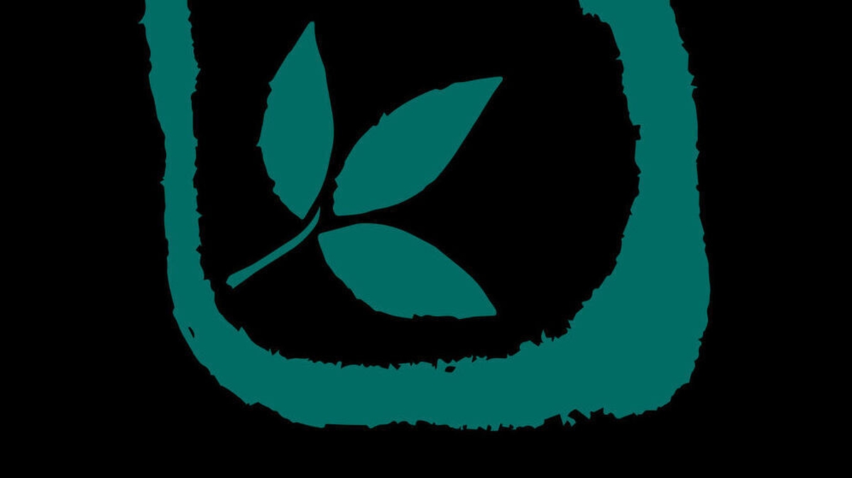 Éanna Ní Lamhna, Leas Uachtarán ar Chomhairle Crann na hÉireann.