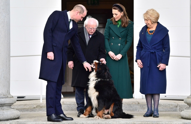 All eyes: Prince William, Kate Middleton, Michael D Higgins and his wife Sabina watching Áras pet dog Bród