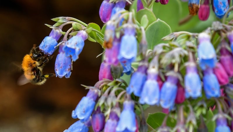 Study was carried out by researchers from the Imperial College London