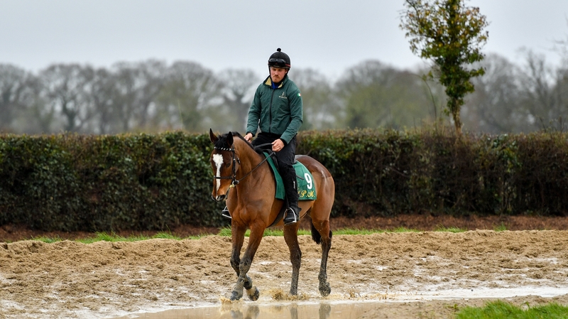 Will Ingram on Cilaos Emery at Closutton in Bagenalstown, Co Carlow