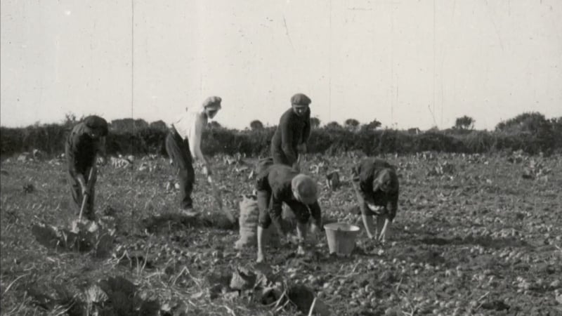 Footage from the film show a family picking potatoes in west Kerry (courtesy of Chicago Academy of Science)