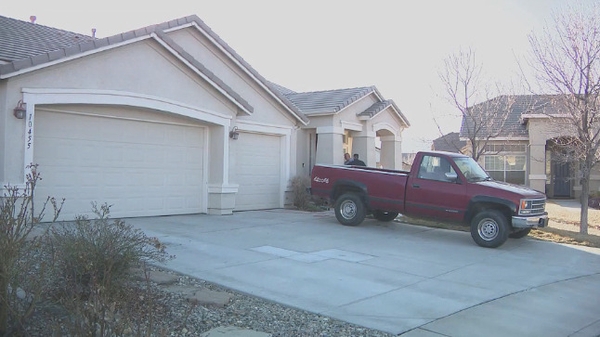 Police have described the case as a suspected murder-suicide