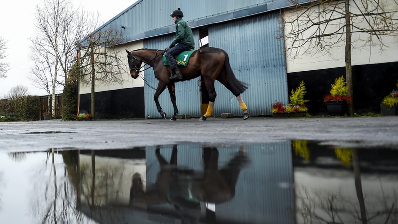 The eight-year-old is well fancied