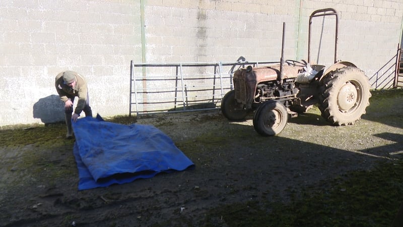 Barry O'Brien Lynch prepares to lay out the carpet in front of his 1940 Massey Ferguson