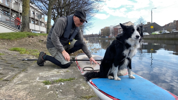 Surfs up ... Ted and his owner Eoghan Redmond