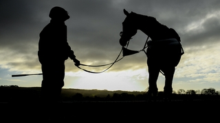 Cheltenham 2020 Day 1 dawns