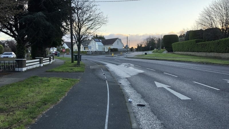 Jacqueline McGovern was one of two women who were struck by a car when it mounted the footpath on Avondale Road