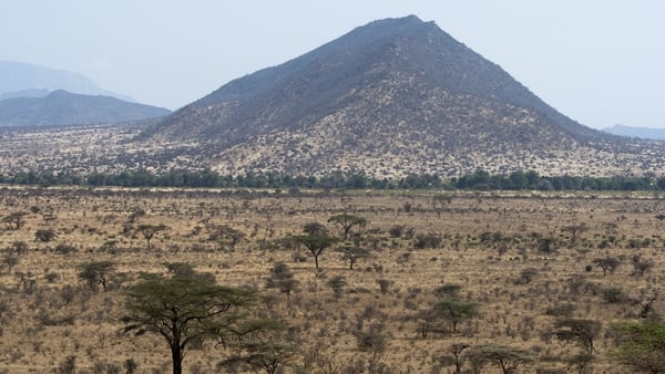 Around one million tourists visit Kenya every year to see the country's famous national parks