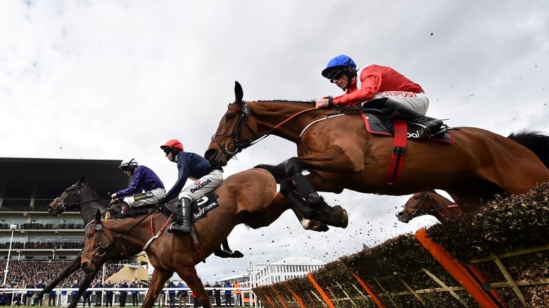 Envoi Allen fell at Cheltenham but hopes are high on his return