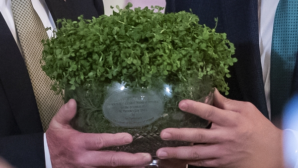 The Criostal na Rinne crystal bowl is already at the White House