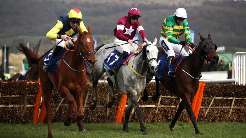 The Storyteller (near side) found Sire Du Berlais (far side) half a length too good in the Pertemps at last season's Cheltenham Festival