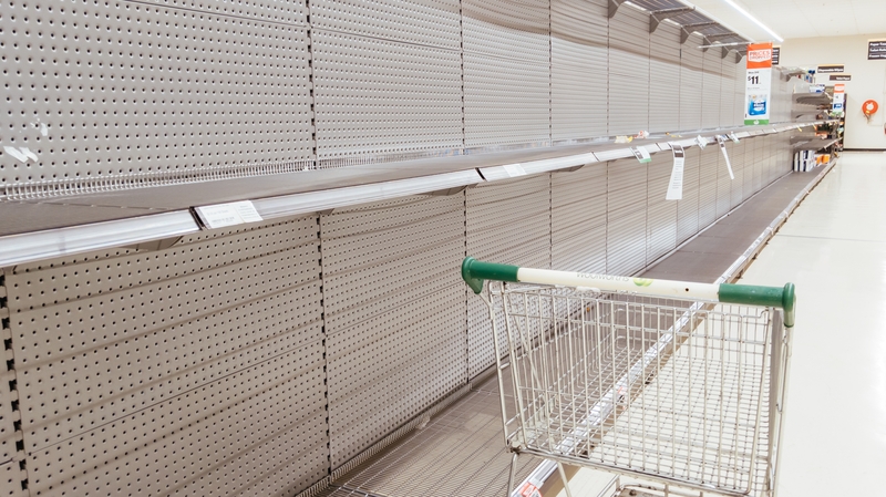 Many people have been panic buying due to Covid-19 (file pic)