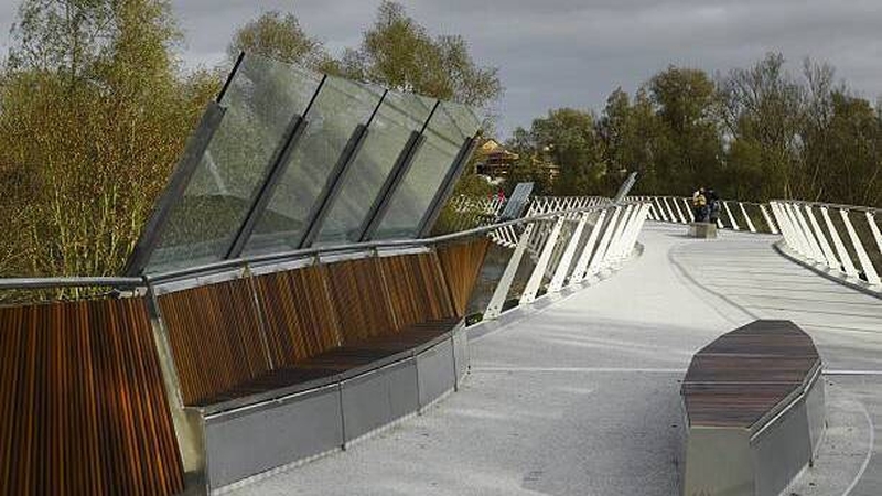 University Of Limerick could play host to a field hospital, said its president Des Fitzgerald