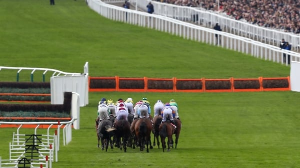 Runner make their way through the early stages of the Supreme Novices' Hurdle