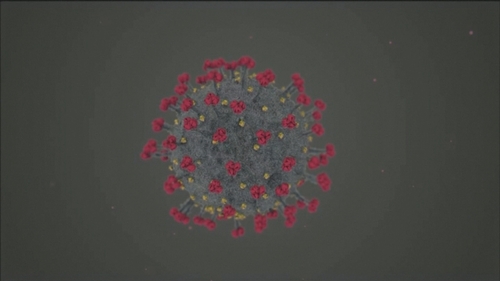 The virus itself is called SARS-CoV-2