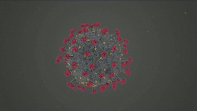 The virus itself is called SARS-CoV-2