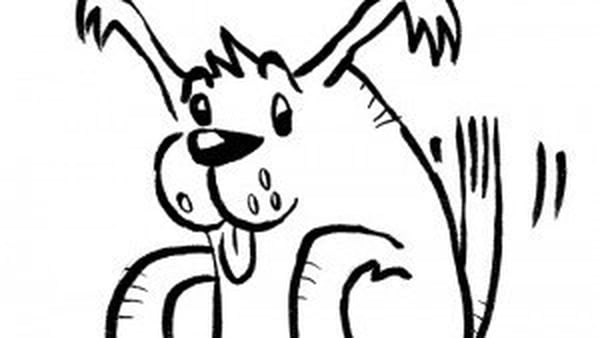 Draw With Alan - how to draw Ollie the dog!