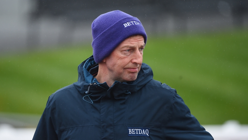 Gavin Cromwell could aim Velvet Elvis at the Irish Grand National