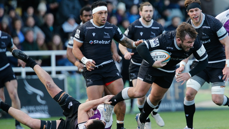 Newcastle Falcons could end up in court over promotion to the Premiership