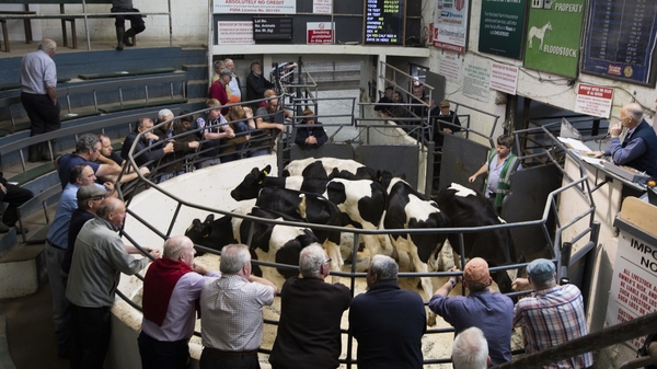 It said that a range of protocols are actively being discussed between ICOS and the Department of Agriculture