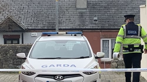 Ann Butler's body was found in her Kilkenny home five days after she was killed