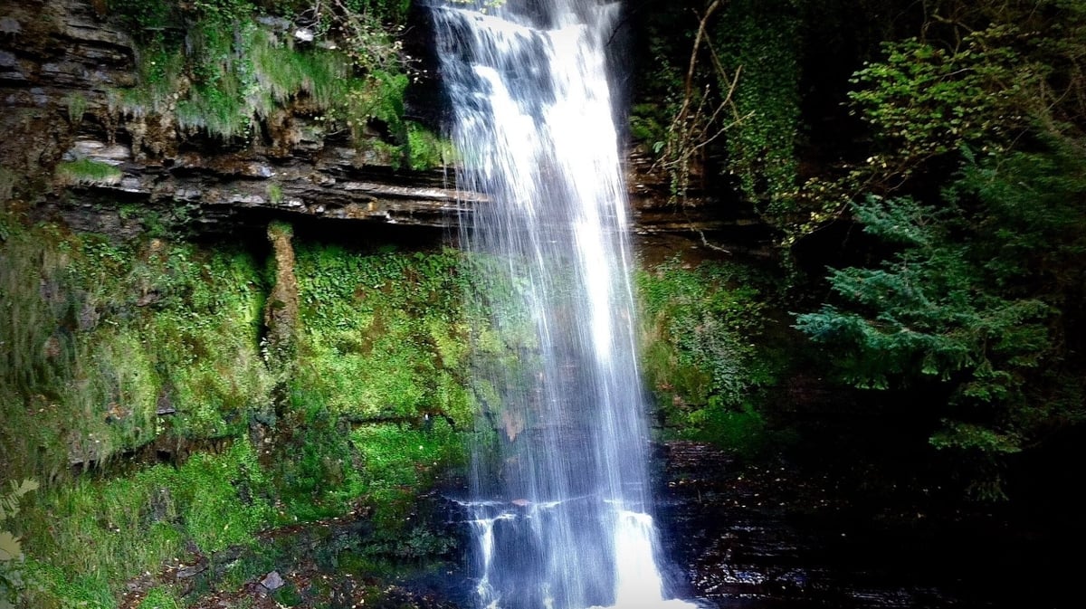 Artist Johnnie Lawson on The Ryan Tubridy Show