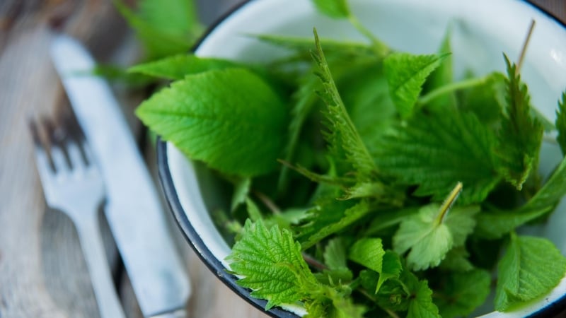 Got a patch of greenery? Some of it might just be edible.