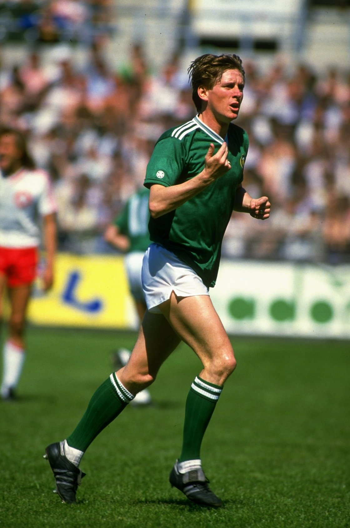 Gerry Daly in action during Italia 90 qualifying